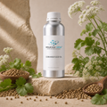 CORIANDER SEED OIL